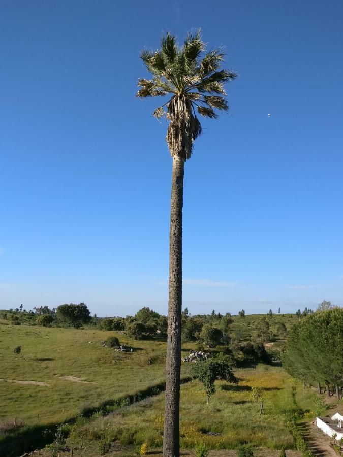 Гостевой дом Quinta Da Abrunheira - Gustavo Eiffel Ciborro Экстерьер фото