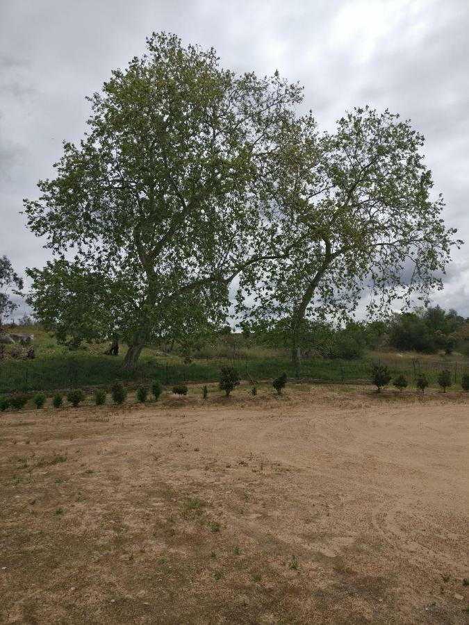 Гостевой дом Quinta Da Abrunheira - Gustavo Eiffel Ciborro Экстерьер фото